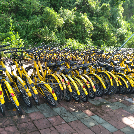 ofo.jpg